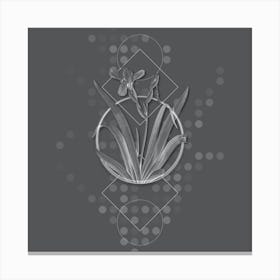 Vintage Hungarian Iris Botanical with Line Motif and Dot Pattern in Ghost Gray n.0305 Canvas Print