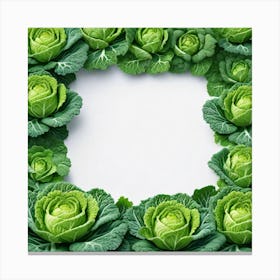 Cabbage Frame On White Background Canvas Print