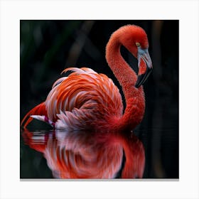 Flamingo 59 Canvas Print