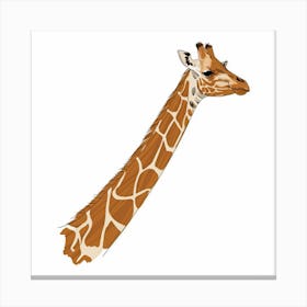 Giraffe 7 Canvas Print