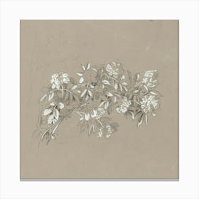 Drawing Of Flowers Canvas Print