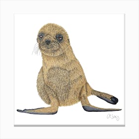 Baby Seal. 1 Canvas Print