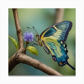 Butterfly On A Branch Canvas Print