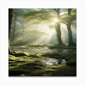 Sunrise In The Forest Canvas Print