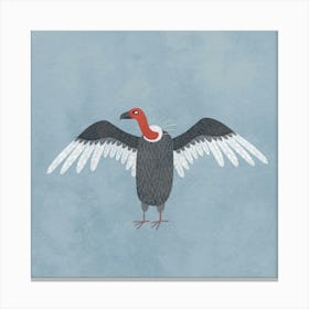 Vulture Canvas Print