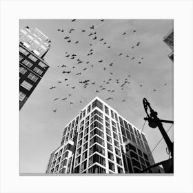 Birds In The Sky In New York Canvas Print