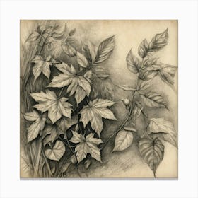 Ivy art Canvas Print