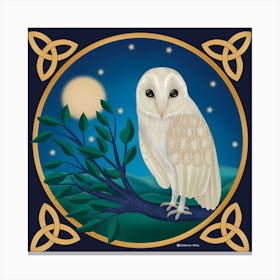 Barn Owl In The Moonlight Square Canvas Print
