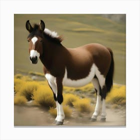 TIBETAN WILD ASS Canvas Print