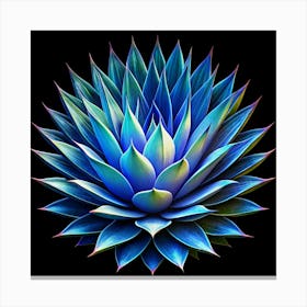 Blue Agave Plant Isolated On Black Background Canvas Print