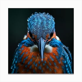 Kingfisher 2 Canvas Print