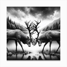 Stag And Deer Canvas Print