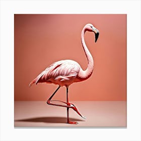 Flamingo 7 Canvas Print