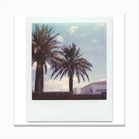 Polaroid Menorca Spain Palm Trees Blue Sky Holiday Canvas Print