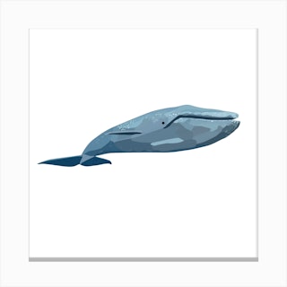 Blue Whale 2 Canvas Print