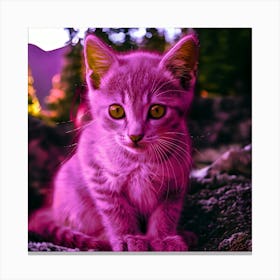 Pink Kitten With Neon Yellow Eyes Canvas Print