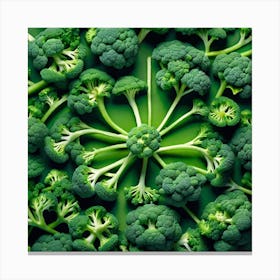 Florets Of Broccoli Canvas Print