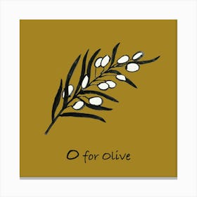Olive 16x16 Canvas Print