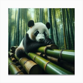 Panda Bear In Bamboo Forest Canvas Print