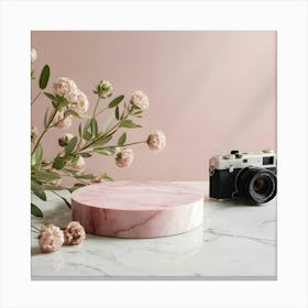 Pink Marble Cake 7 Canvas Print