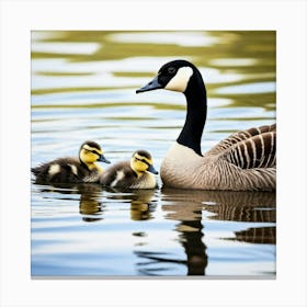 Canadian Geese 6 Canvas Print