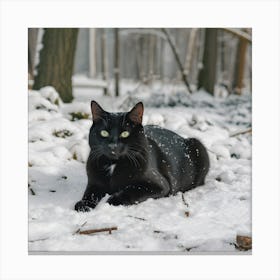 Silent Paws in the Winter Wood Canvas Print