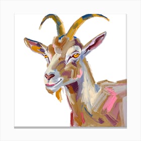 Goat 12 Canvas Print
