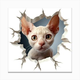 Cat Looking Through A Hole Canvas Print