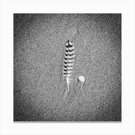 Bird feather & a seashell on the Beach // Travel Photography Canvas Print