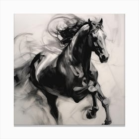 Black Horse In Expression 4 Canvas Print