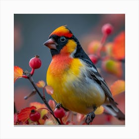 Robin 11 Canvas Print