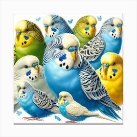 Budgerigars 1 Canvas Print