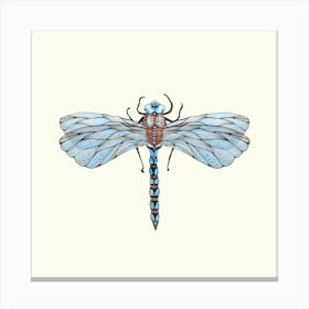 Dragonfly (Watercolor) Canvas Print