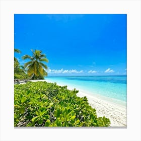 Relax Ocean Plant Idylli Holiday Coastline Beautiful Calm Shore Blue Paradise Sunlight N (28) Canvas Print