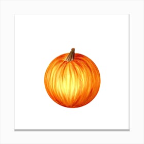 Pumpkin On White Background Canvas Print