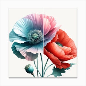 Poppies 4 Canvas Print