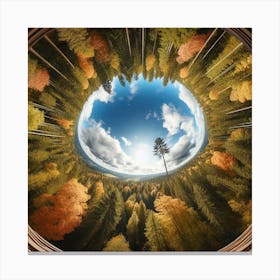 Circular View Of Autumn Forest Canvas Print