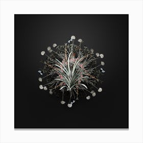 Vintage Pineapple Botanical Wreath on Wrought Iron Black n.0019 Canvas Print