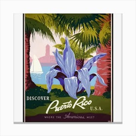 Discover Puerto Rico 1 Canvas Print