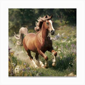 Horse In The Meadow Canvas Print