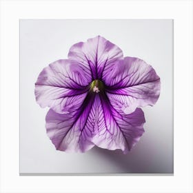 Purple Petunia Canvas Print