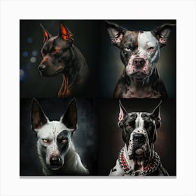 Four beautiful dogs Canvas Print