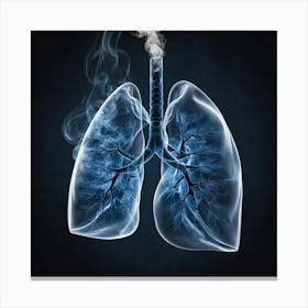 Lungs Stock Photos & Royalty-Free Footage 1 Canvas Print