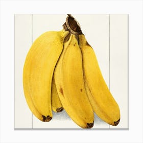 Bananas Canvas Print