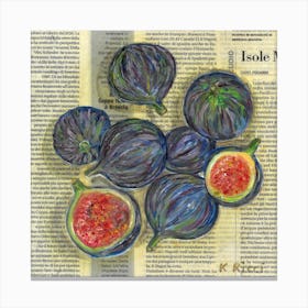 Figs Summer Fruit On Newspaper Rustic Bright Purple Blue Food Kitchen Minimalist Canvas Print