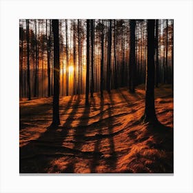 Sunset In The Forest 19 Canvas Print