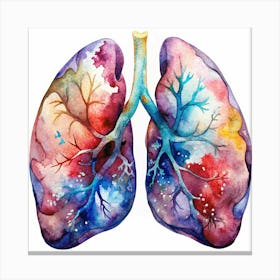 Watercolor Painting Of Human Lungs Canvas Print