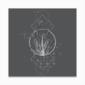 Vintage Yellow Eyed Grass Botanical with Line Motif and Dot Pattern in Ghost Gray n.0053 Canvas Print
