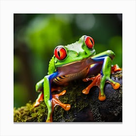 Colorful Tree Frog 2 Canvas Print