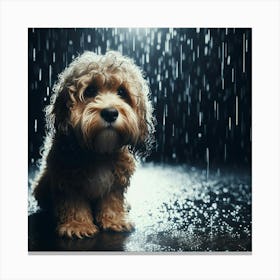 Dog In The Rain 6 Canvas Print